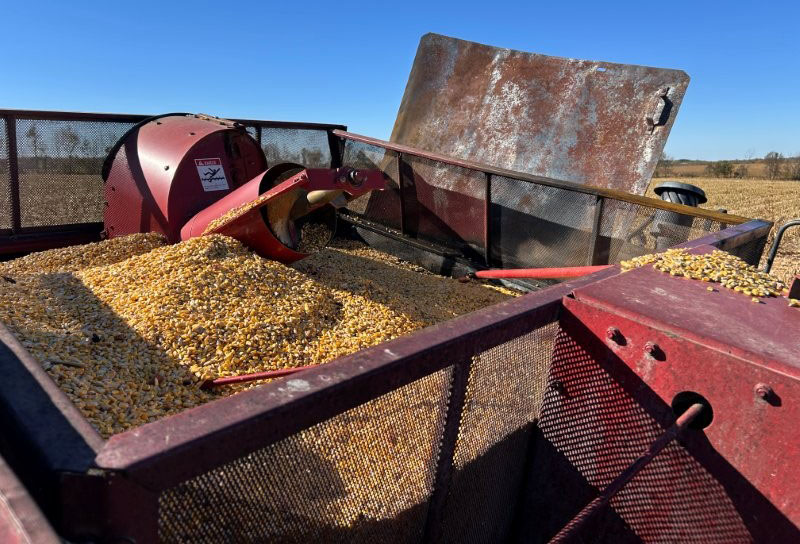 1988 CASE IH 1640 Combine - Image 10