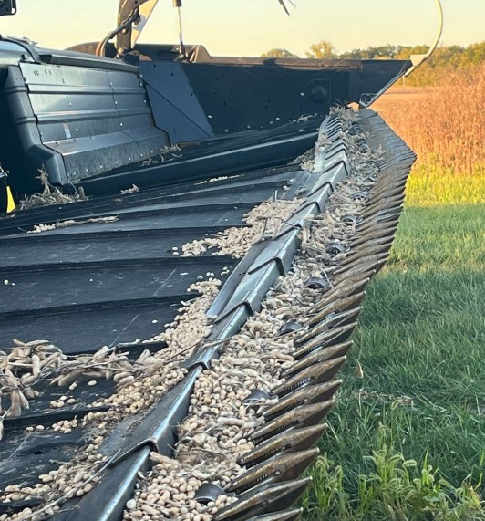 2011 MacDon FD70 Header - Image 10