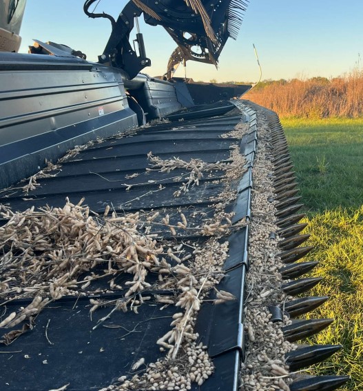 2011 MacDon FD70 Header - Image 4