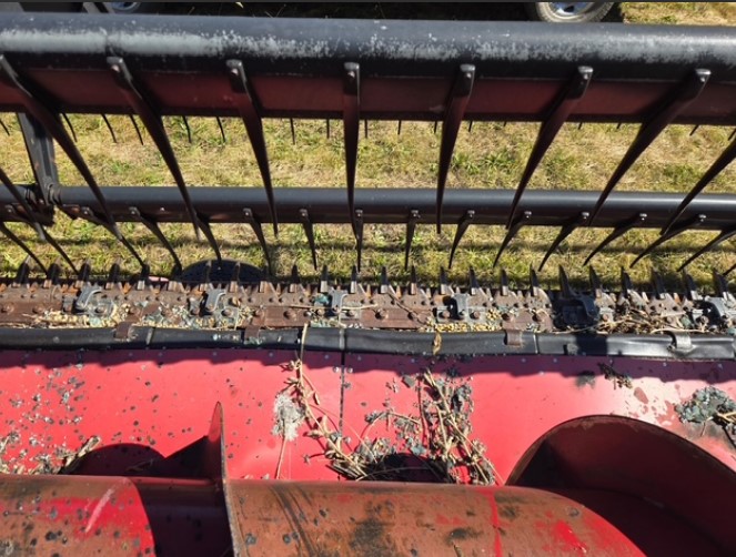 Case IH 1020 Header - Image 4