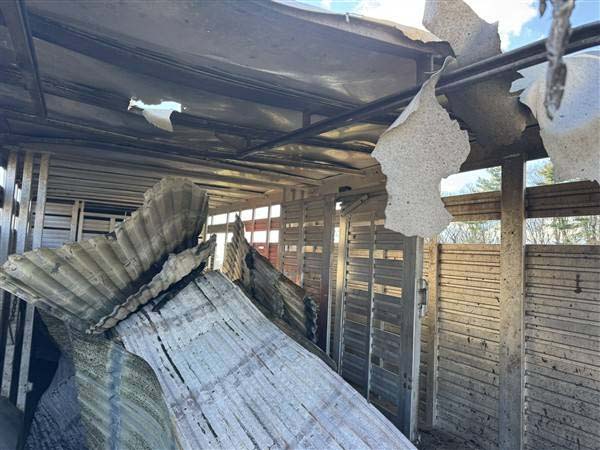 1988 Barrett Utility/Cattle Trailer - Image 8