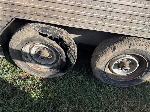 1988 Barrett Utility/Cattle Trailer - Image 6