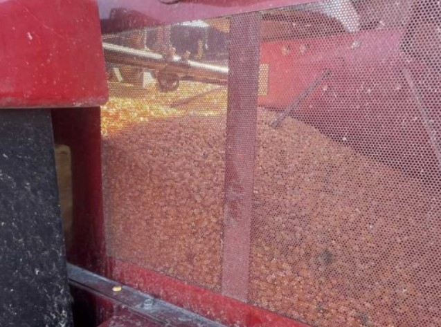 2007 CASE IH 2588 Combine - Image 17