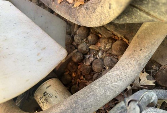 2015 Kubota SVL75-2 Skid Steer - Image 18