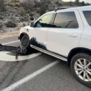 2020 Dodge Durango Police Vehicle