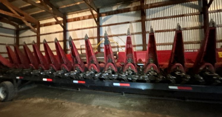2023 Case IH 4418 Corn Head - Image 19