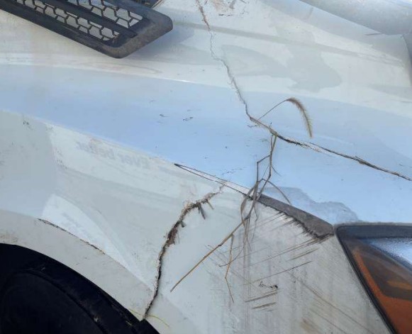 2023 Freightliner New Cascadia - Image 11