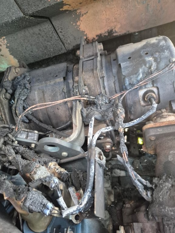 2024 Sunward SWTL4538 Skid Steer - Image 20