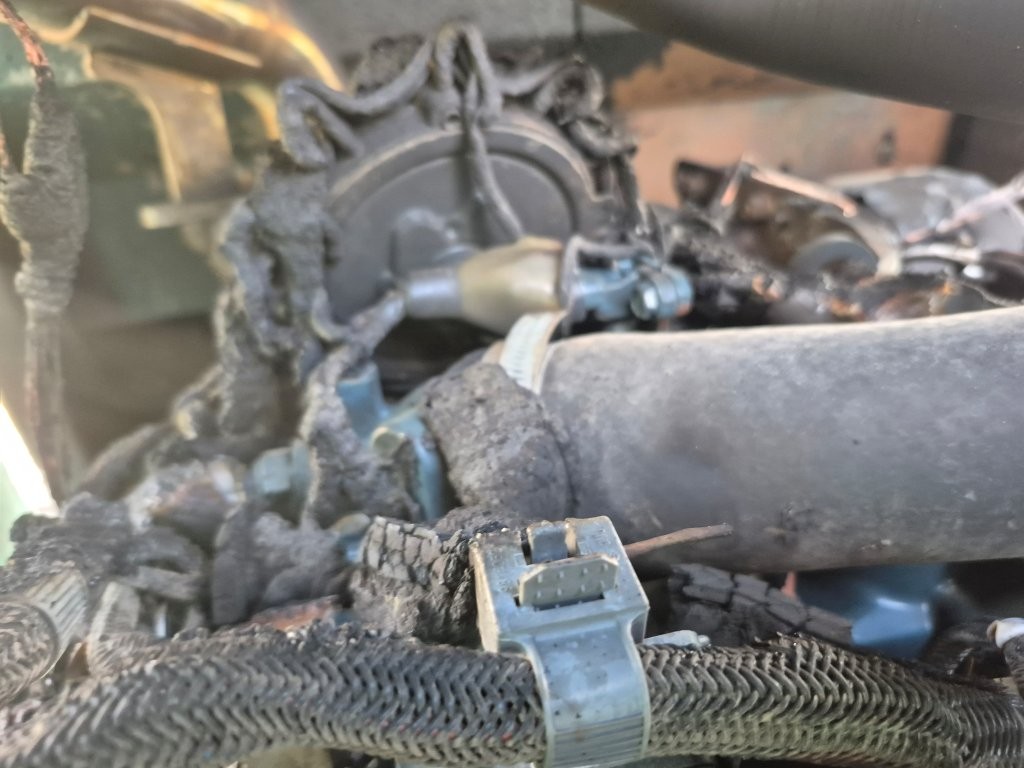 2024 Sunward SWTL4538 Skid Steer - Image 22