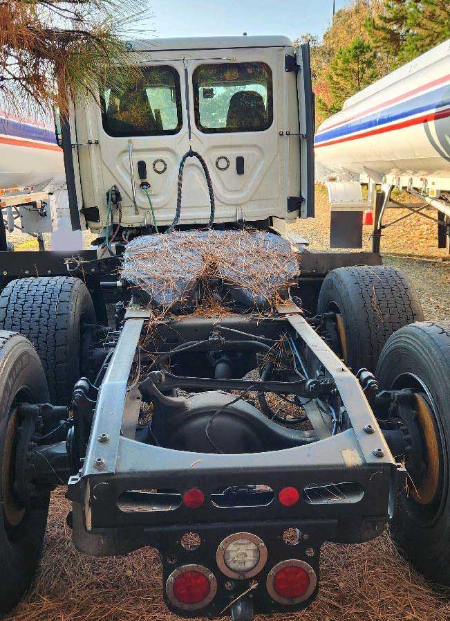 2025 Freightliner Cascadia - Image 12