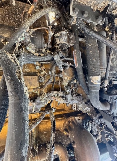 2023 Vermeer HG6000 Horizontal Grinder - Image 11