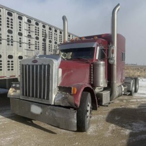 2002 Peterbilt 379