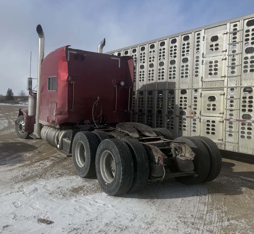 2002 Peterbilt 379 - Image 10