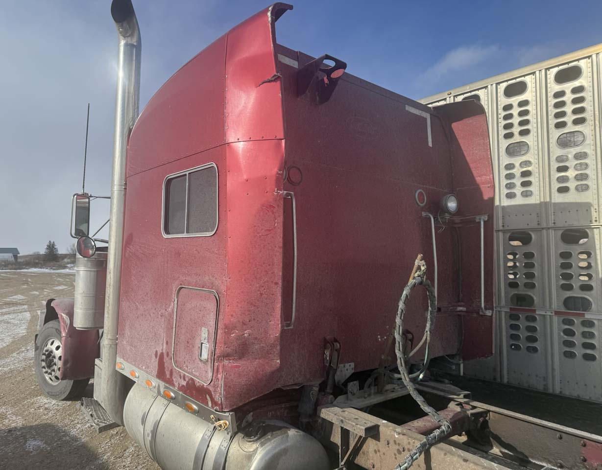 2002 Peterbilt 379 - Image 9