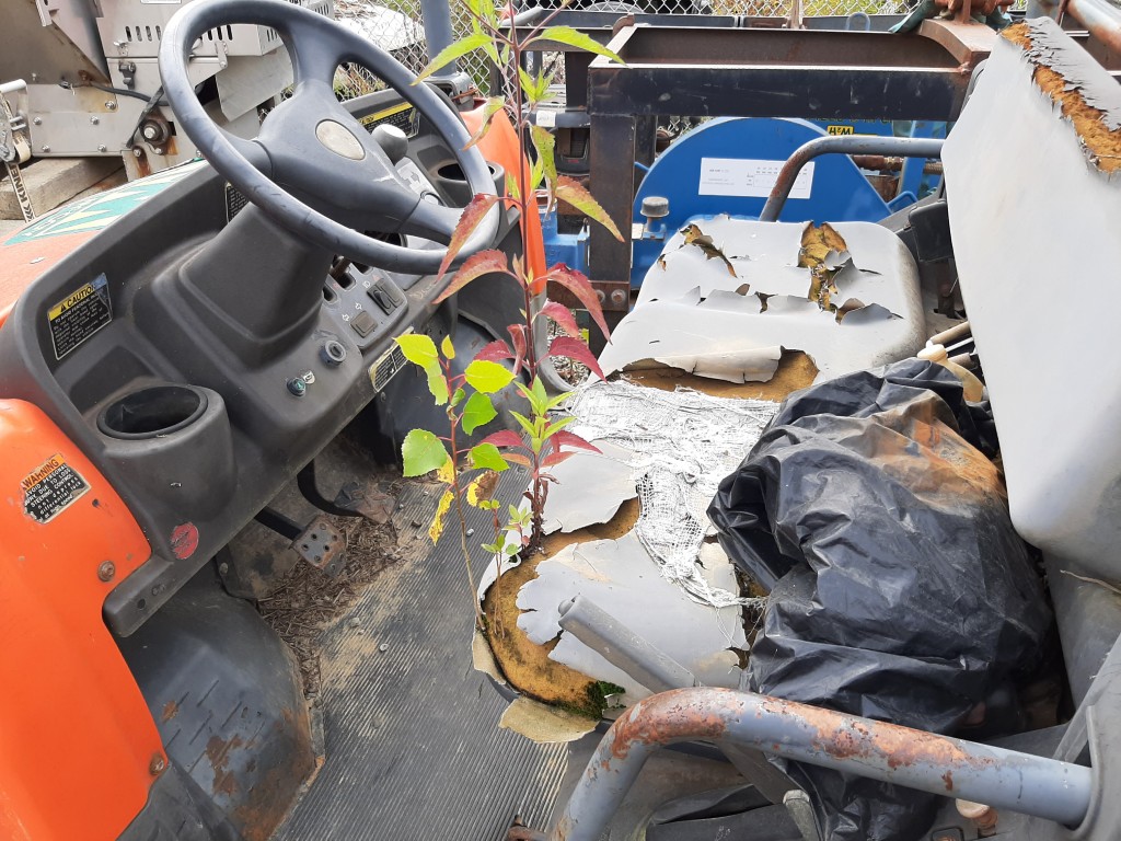 2008 Kubota RTV900 - Image 7