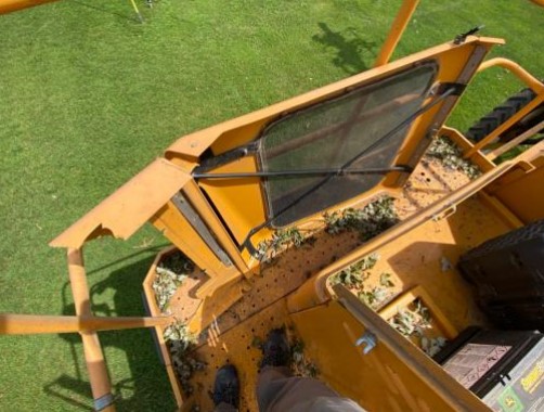 2014 Oxbo 5170 Detassler - Image 23