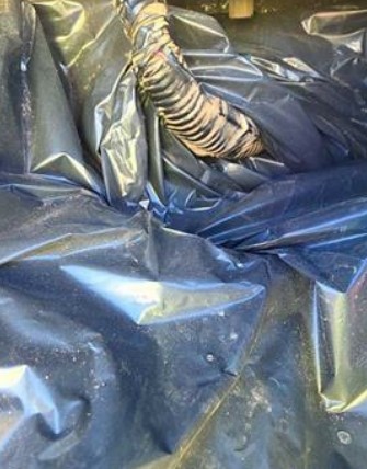 2020 Yanmar V1035-6A Crawler Excavator - Image 23