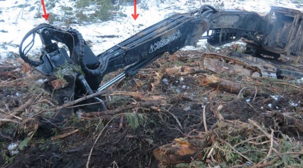 2022 Timber-Pro TL-775D Feller Buncher - Image 3