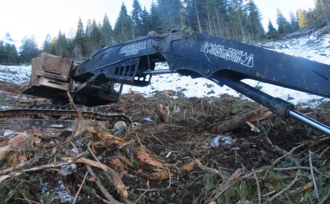 2022 Timber-Pro TL-775D Feller Buncher - Image 8