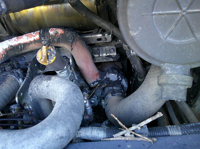 2023 Takeuchi TL12V2 Skid Steer - Image 15