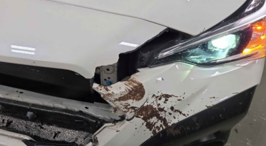 2025 Subaru Crosstrek - Image 11