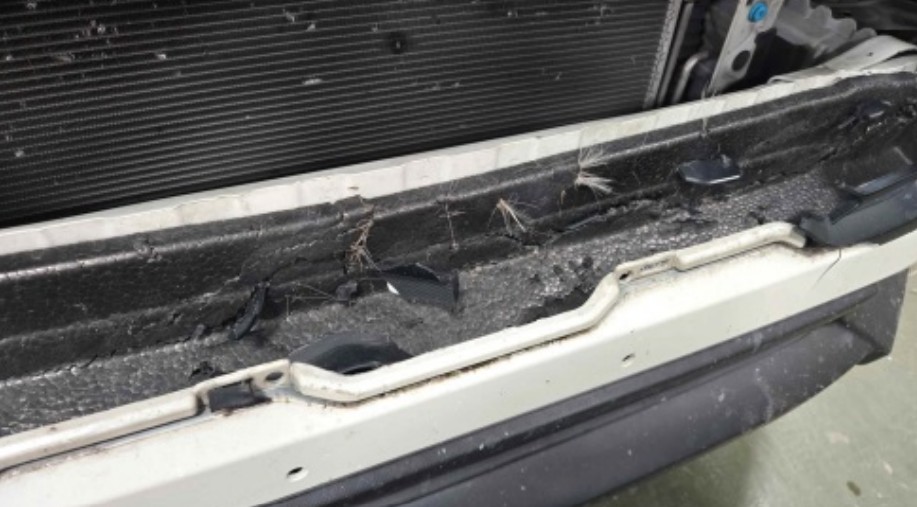 2025 Subaru Crosstrek - Image 14