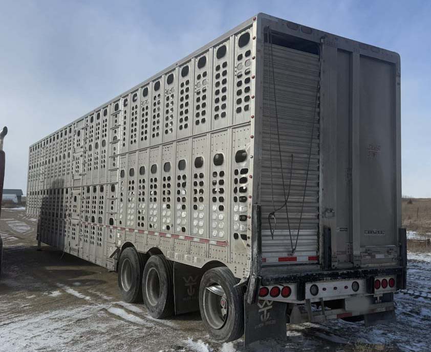 2013 Wilson PSDCL Livestock Trailer - Image 4