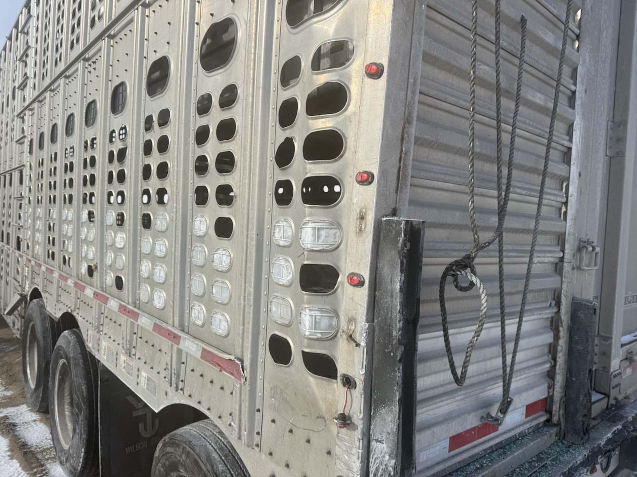 2013 Wilson PSDCL Livestock Trailer - Image 6