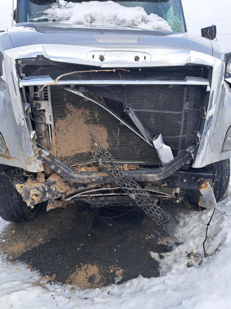 2023 Freightliner Cascadia - Image 6