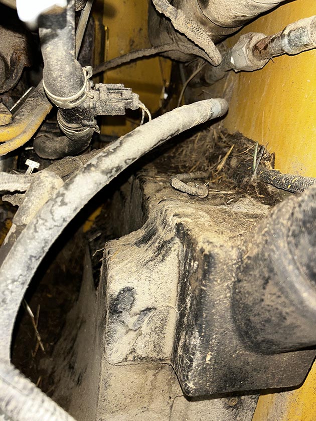 2022 Caterpillar 246D3 Skid Steer - Image 27