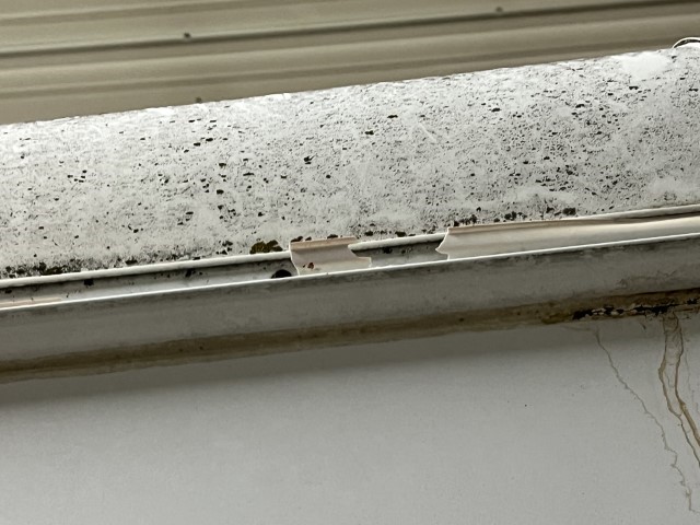 2010 Chevrolet Express 3500 Commercial Cutaway Bus - Image 32