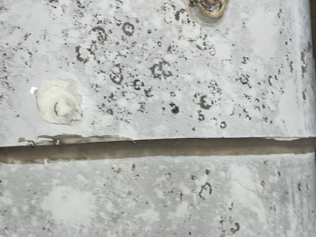 2010 Chevrolet Express 3500 Commercial Cutaway Bus - Image 39