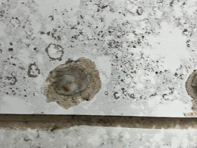 2010 Chevrolet Express 3500 Commercial Cutaway Bus - Image 40