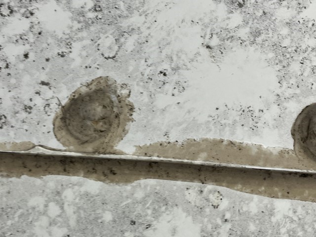 2010 Chevrolet Express 3500 Commercial Cutaway Bus - Image 41