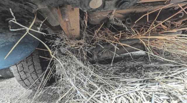 2012 Chevy Express Blue Bird 14 Passenger Bus - Image 16