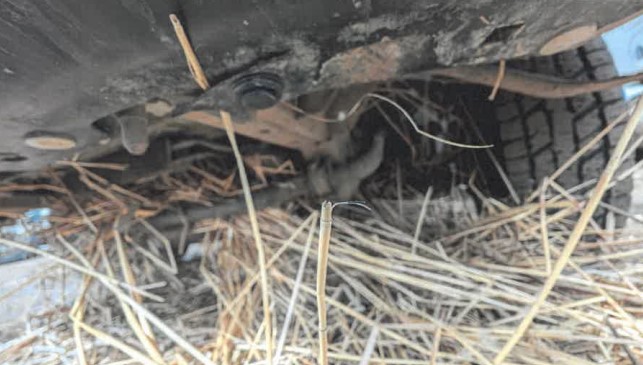 2012 Chevy Express Blue Bird 14 Passenger Bus - Image 17