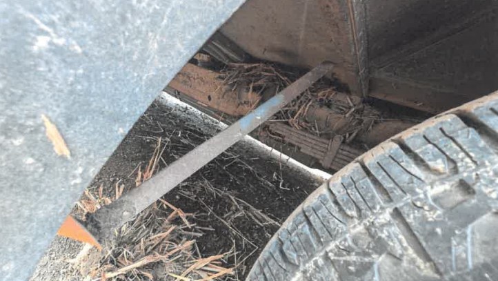 2012 Chevy Express Blue Bird 14 Passenger Bus - Image 8