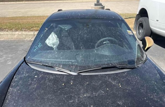 2015 Porsche 911 GT3 - Image 19