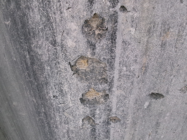 2025 Screen Machines Inc JXT Jaw Crusher - Image 10