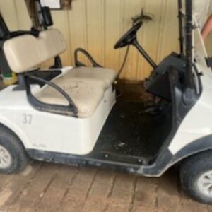 2024 RXV Electric Golf Cart