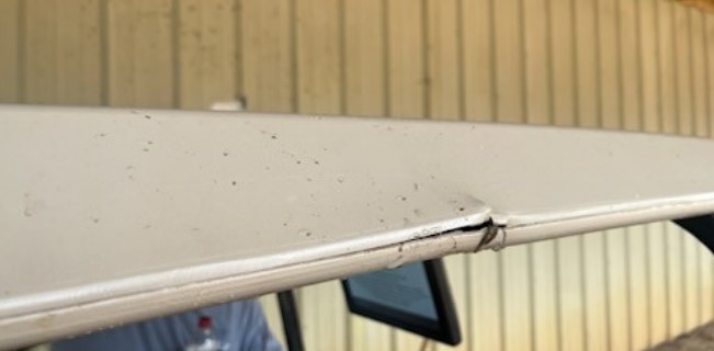 2024 RXV Electric Golf Cart - Image 2