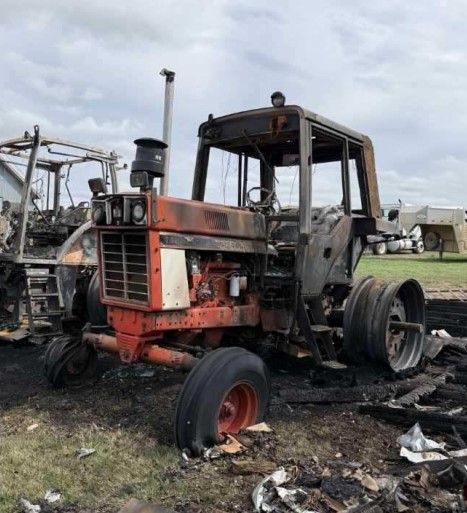 1986 CASE IH 1086 Tractor - Image 2