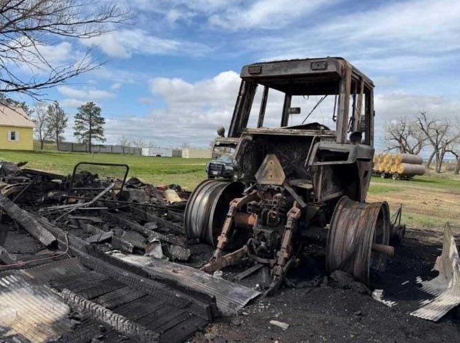 1986 CASE IH 1086 Tractor - Image 3