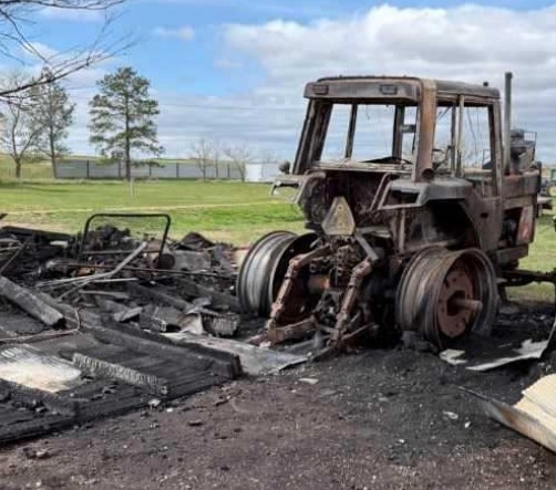 1986 CASE IH 1086 Tractor - Image 4