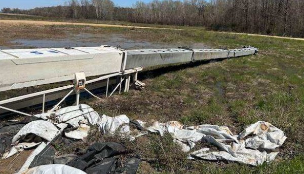 1999 Terex RT440 Rough Terrain Crane - Image 3