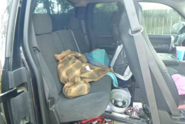 2008 GMC Sierra 1500 SLE - Image 9