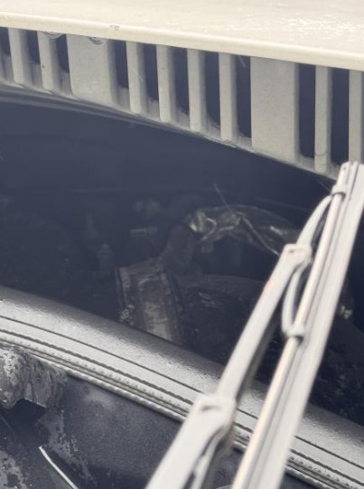 2020 Freightliner Cascadia 125 - Image 7