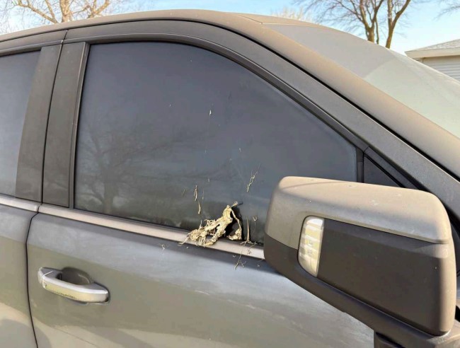 2021 Chevrolet Silverado High Country - Image 17