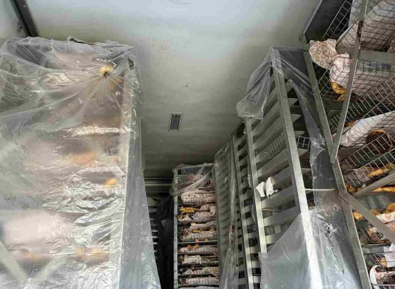 2022 Isuzu NRR - Image 20