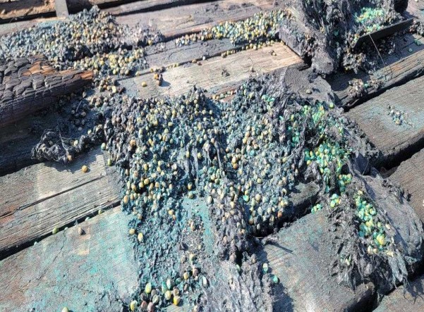 2022 Load Trail Heavy Duty Gooseneck Trailer - Image 14